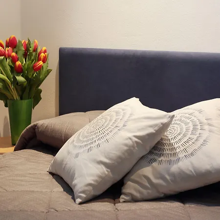 Padovaresidence - Tra Piazza Delle Erbe E Il Duomo 公寓 *